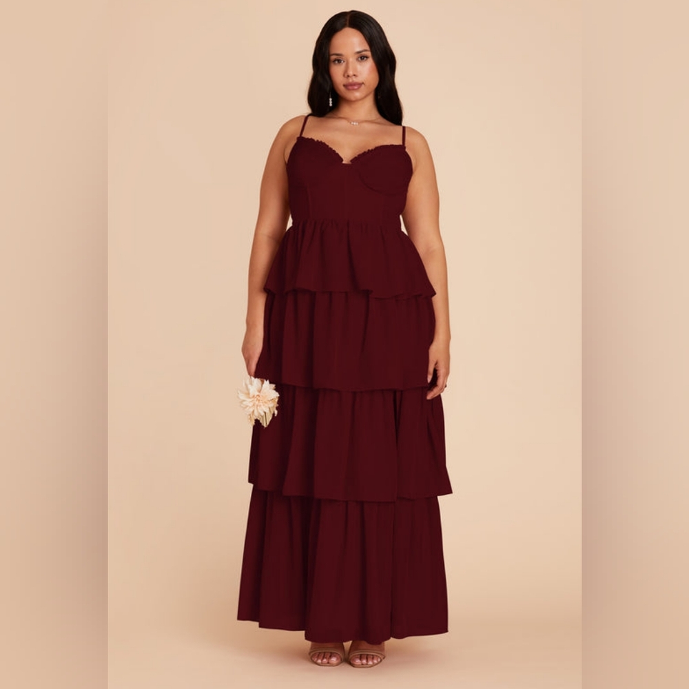 NEW Birdy Grey Lola Chiffon Cabernet Dress